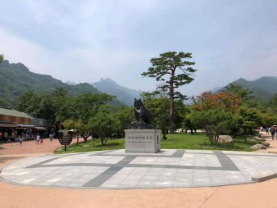 Seoul: Mt.Seorak(+CableCar Option)+Sokcho Fish Market&Beach - Leaving Seoul: meeting points and the van ride you should plan for