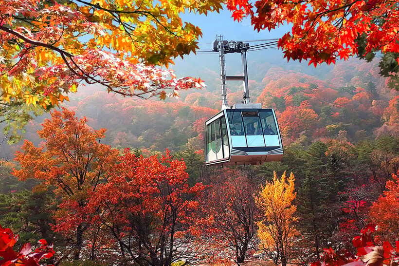 Seoul: Mt.Seorak(+CableCar Option)+Sokcho Fish Market&Beach - Sokcho Beach: a fast taste of the sea (with real photo-time)