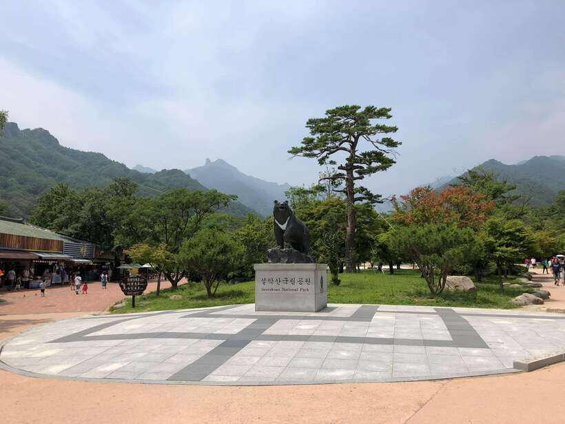 Seoul: Mt.Seorak(+CableCar Option)+Sokcho Fish Market&Beach - Leaving Seoul: meeting points and the van ride you should plan for