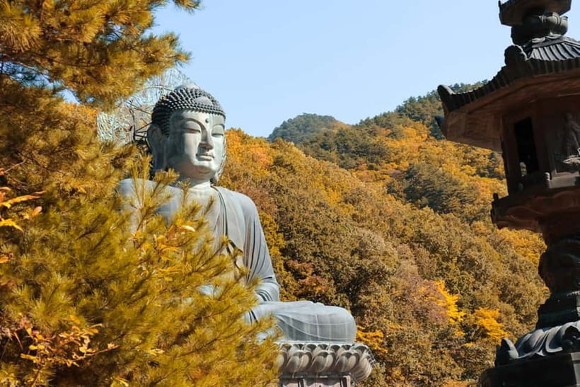 Seoul: Mt. Seoraksan National Park Autumn Foliage Day Tour - Key things to know before you go