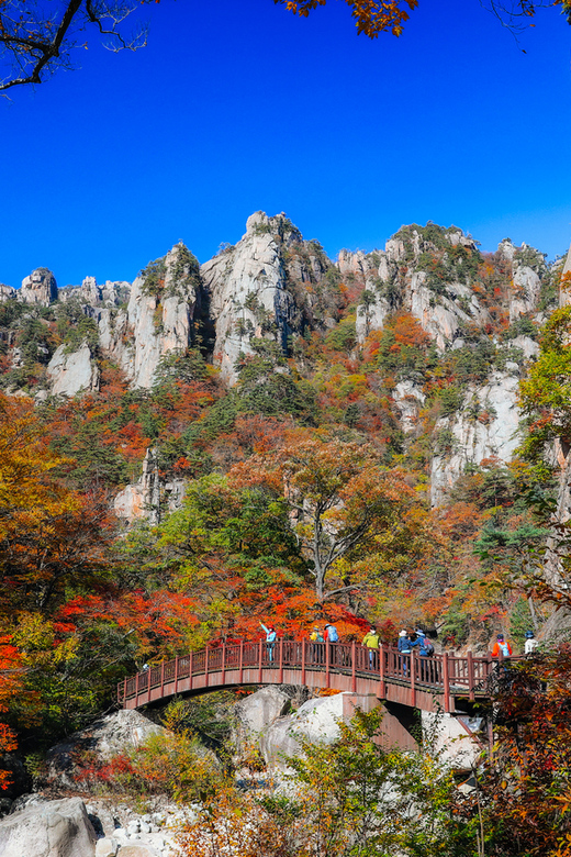 Seoul: Mt. Seoraksan National Park Autumn Foliage Day Tour - A Low-Stress Escape From Seoul to Seoraksan