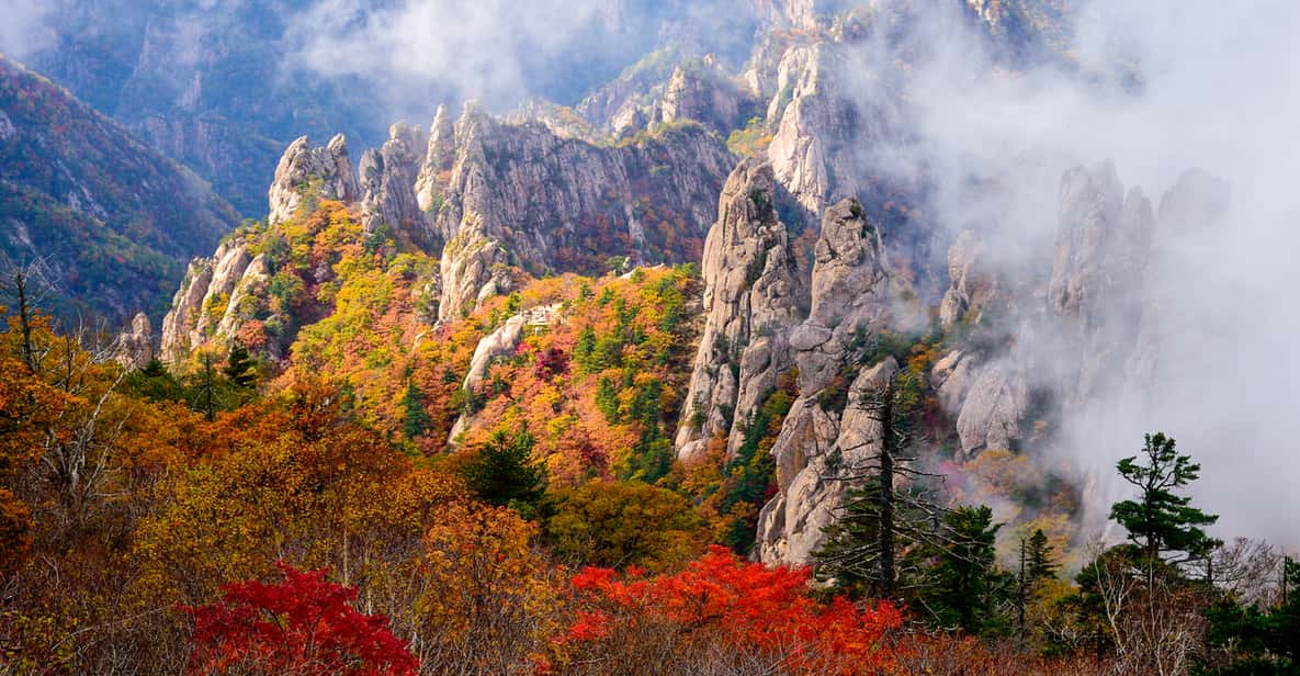 Seoul: Mt. Seoraksan National Park Autumn Foliage Day Tour - Hiking Time on Your Terms: Ullsabwawi Steps to Easier Walks