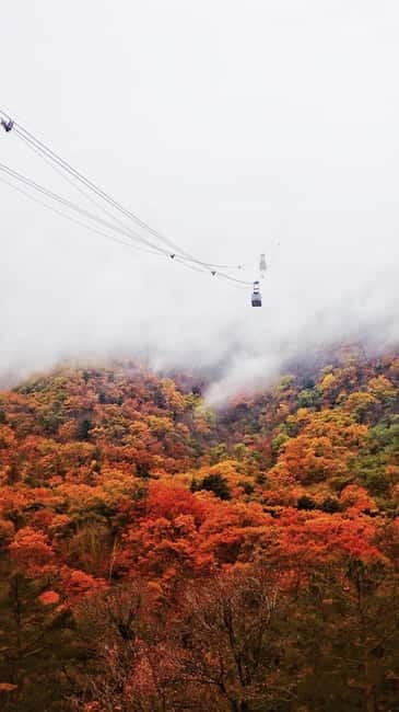 Seoul: Mt. Seoraksan National Park Autumn Foliage Day Tour - Price and What You Really Get for $60