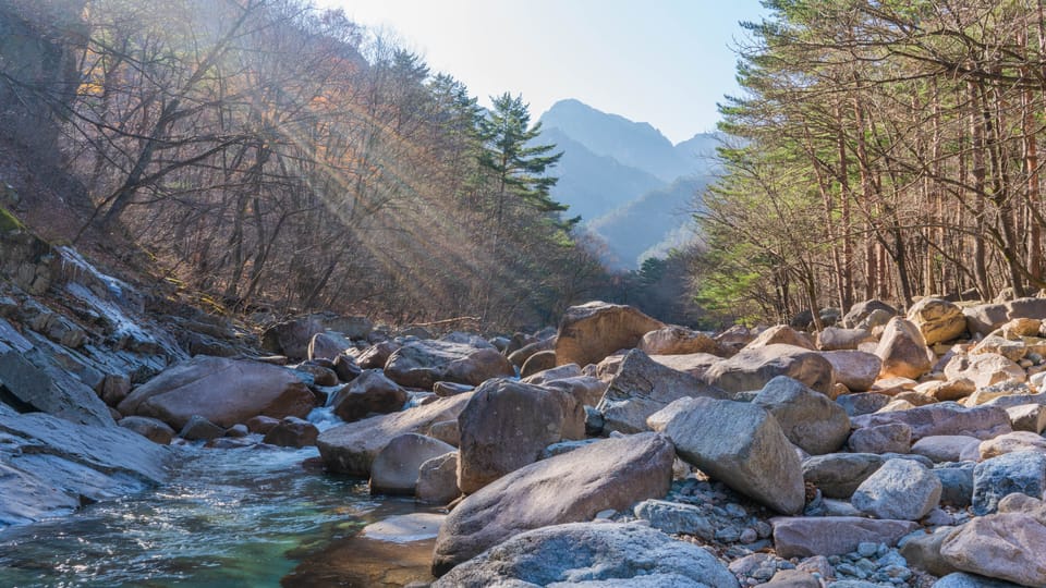 Seoul: Mt. Seoraksan National Park Autumn Foliage Day Tour - Should You Book This Seoul to Seoraksan Autumn Foliage Day Tour?