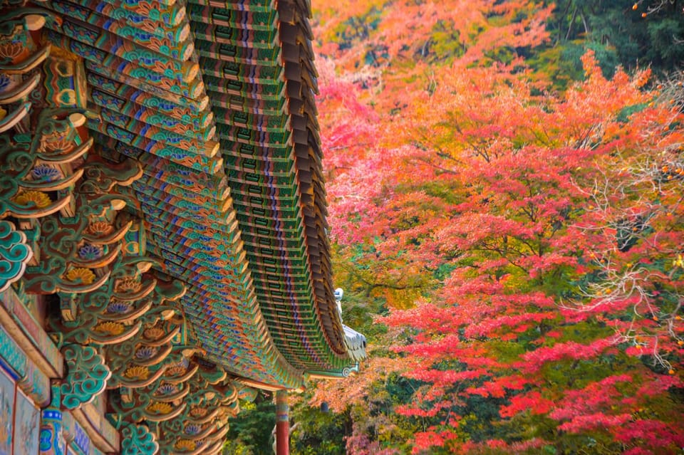 Seoul: Naejangsan National Park Autumn Foliage One Day Tour - Key Points Before You Go