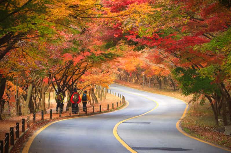 Seoul: Naejangsan National Park Autumn Foliage One Day Tour - Seoul to Naejangsan in One Day: the Tight Timeline