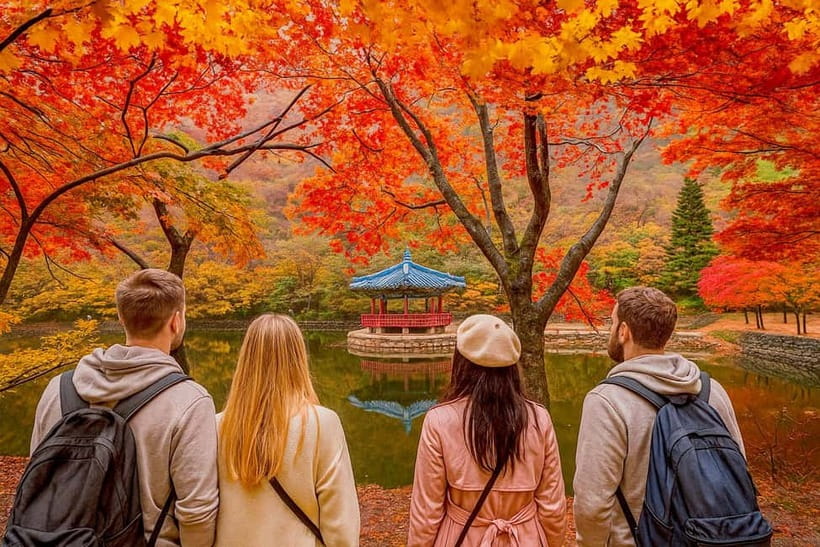 Seoul: Naejangsan National Park Autumn Foliage One Day Tour - Guided Walking Routes Toward Naejangsa Temple