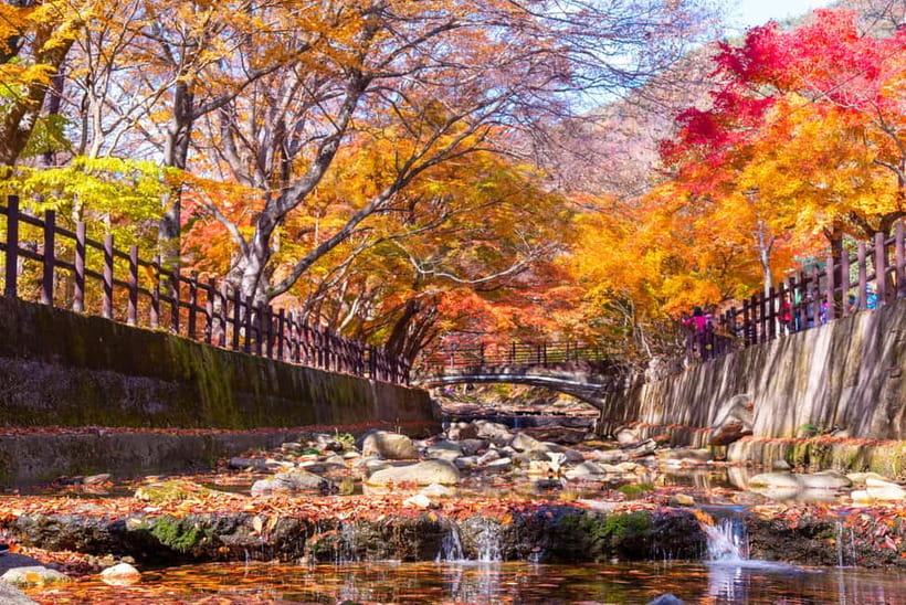 Seoul: Naejangsan National Park Autumn Foliage One Day Tour - Naejangsa Temple Grounds: 1,300 Years of Baekje-Era History