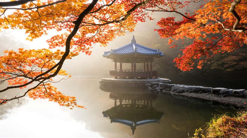 Seoul: Naejangsan National Park Autumn Foliage One Day Tour - Panoramic Views Along Naejangsan’s Leaf-Filled Paths