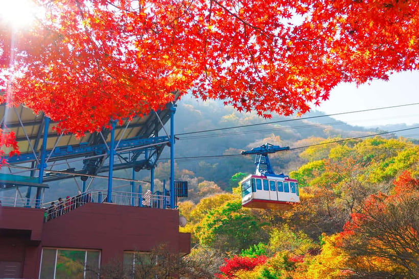 Seoul: Naejangsan National Park Autumn Foliage One Day Tour - Lunch on Your Own: Simple Strategy for a Calm Midday