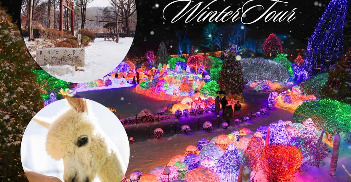 Seoul: Nami and K-Garden with Optional Alpaca Winter Tour - Key things to know before you go
