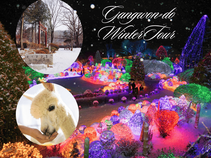 Seoul: Nami and K-Garden with Optional Alpaca Winter Tour - Alpaca World vs Petite France and Italian Village: your second-stop decision