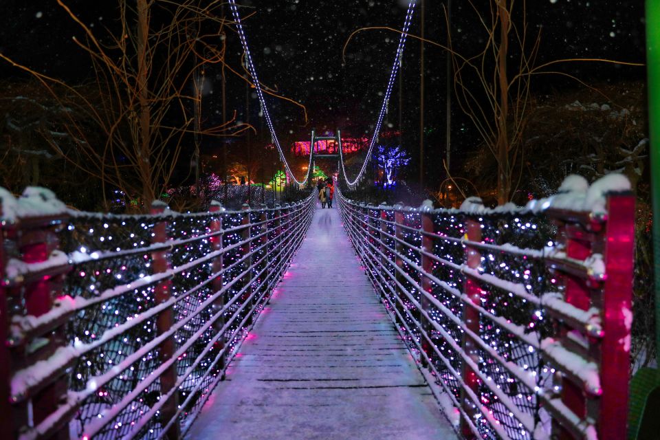 Seoul: Nami and Petite France Tour with Optional K-Garden - Should you book this Nami Island + Petite France tour?