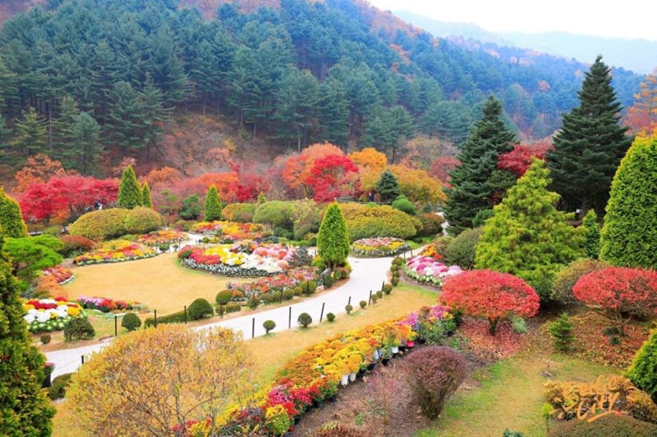 Seoul: Nami and Petite France Tour with Optional K-Garden - Nami Island ferry ride and K-drama strolls: what the time feels like