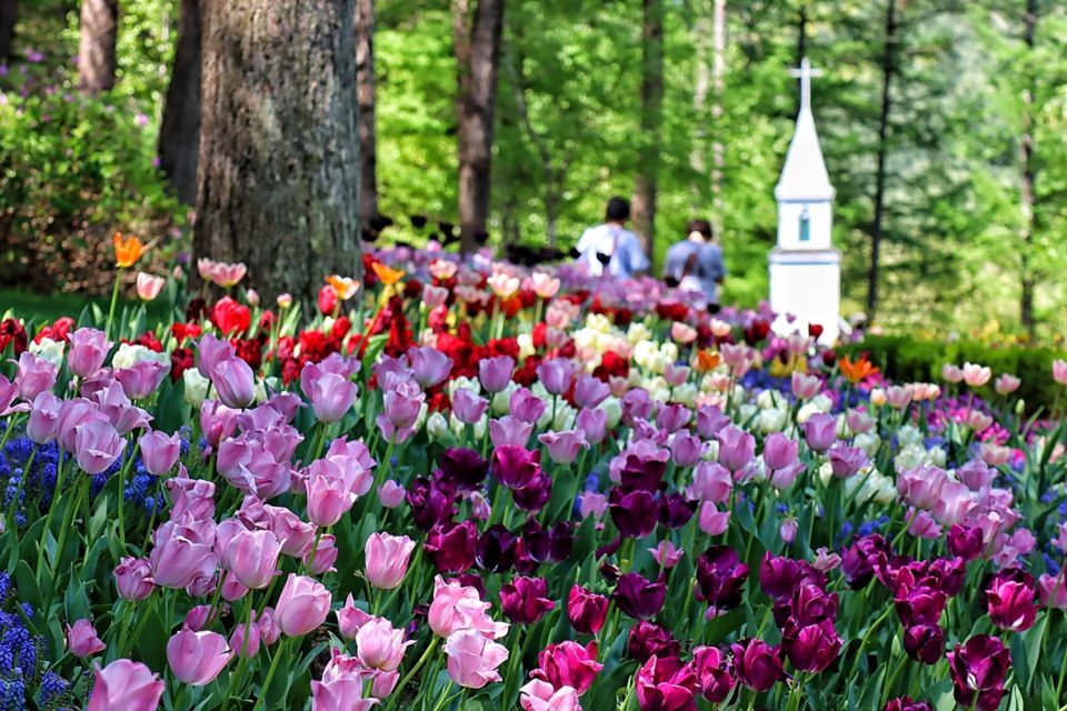 Seoul: Nami and Petite France Tour with Optional K-Garden - Garden of Morning Calm option: 20 themed sections for a slower pace