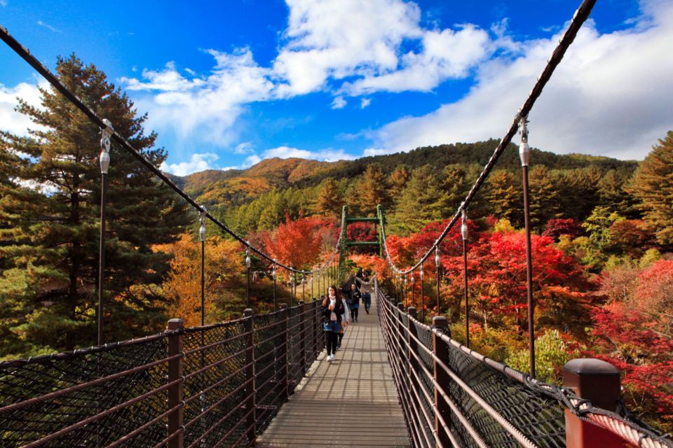 Seoul: Nami and Petite France Tour with Optional K-Garden - How the 10-hour schedule works from Seoul (and where it can pinch)