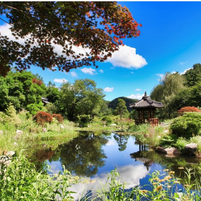 Seoul: Nami and Petite France Tour with Optional K-Garden - Who this tour suits best (and who might want a different plan)