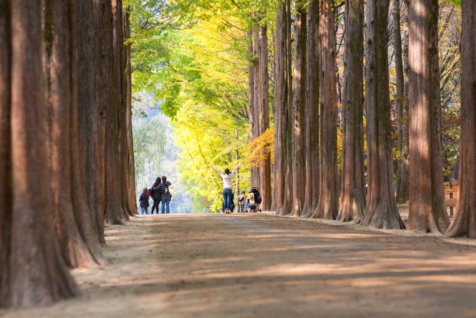 Seoul: Nami Island, Garden and Petite France (opt. Railbike) - Transportation and timing: why the schedule matters