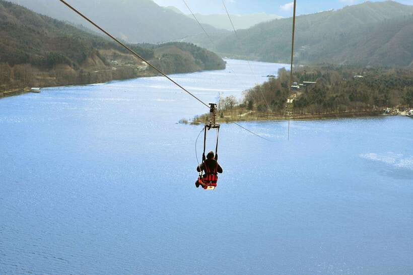 Seoul: Nami Island & Petite France Tour with Railbike Option - Price and value: what $59 really buys