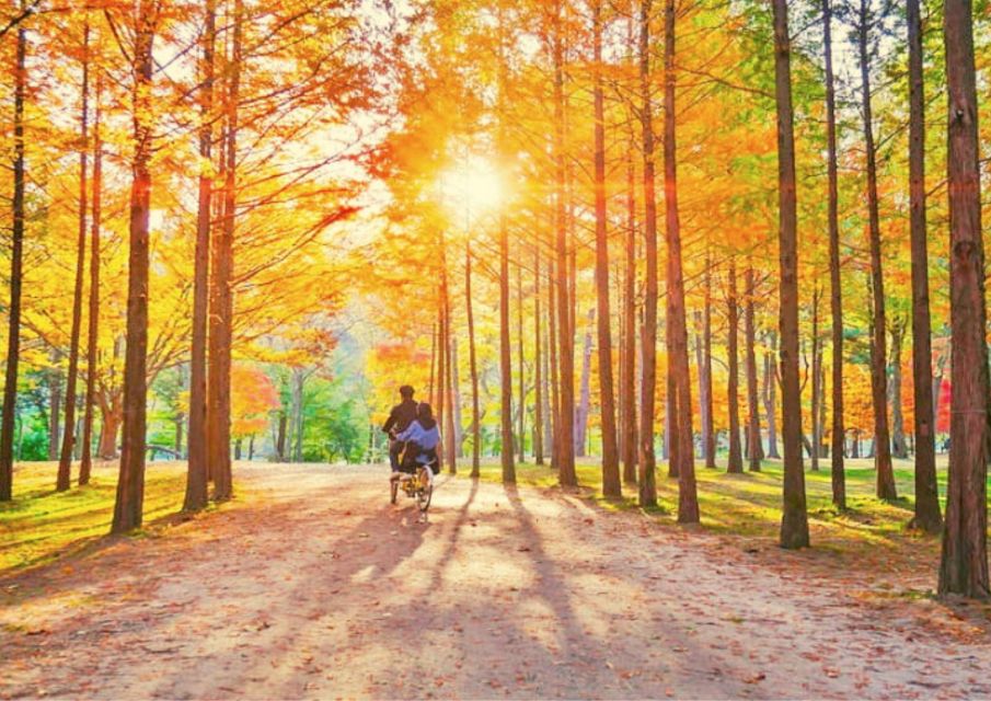 Seoul: Nami, Petite France, Italian Village, Railbike Option - The day’s rhythm: transport, scenic stops, and why timing matters