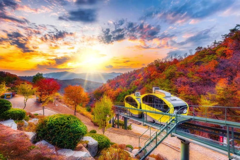 Seoul: Pocheon Art Valley, Garden and Fruit Picking Day Tour - Key things to know before you go
