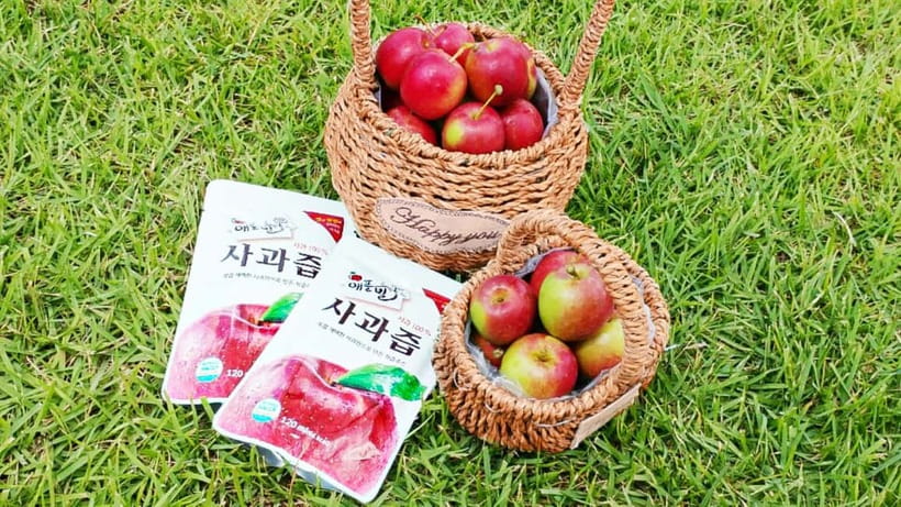 Seoul: Pocheon Art Valley, Garden and Fruit Picking Day Tour - The farm portion: picking fruit, learning what you’re eating