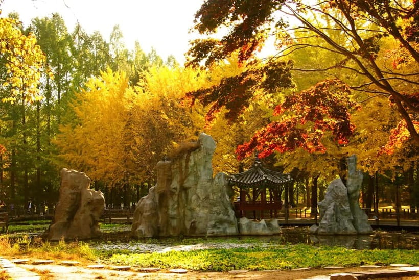 Seoul: Pocheon Art Valley, Garden and Fruit Picking Day Tour - Should you book? My call