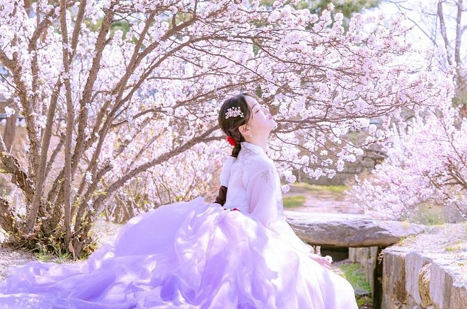 Seoul Premium Hanbok Rental at Arihanbok Photoshoot Included - Who this hanbok rental + photoshoot suits best