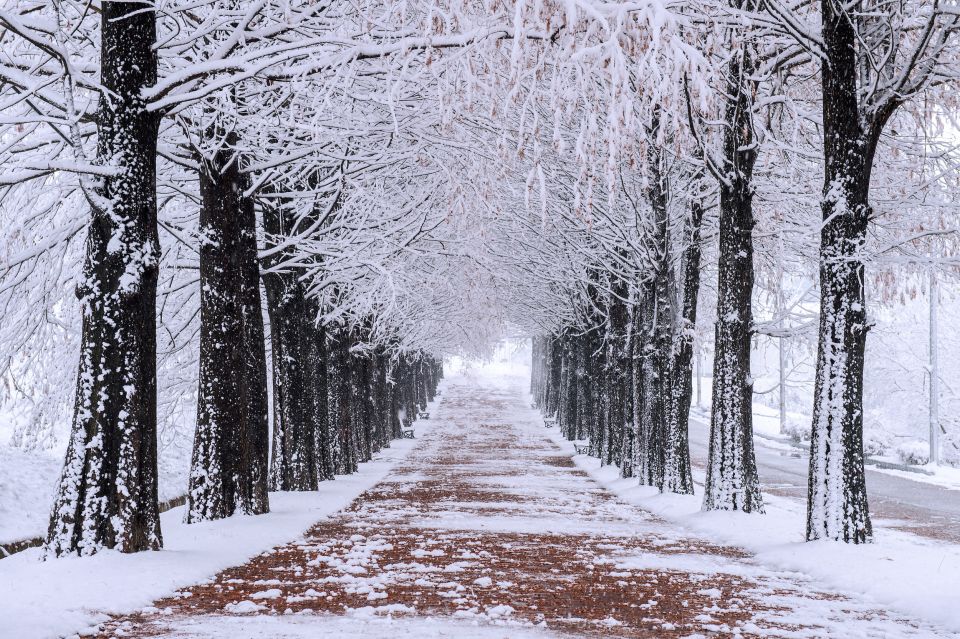 Seoul: Private Customizable Tour to Nami Island and More - FAQ