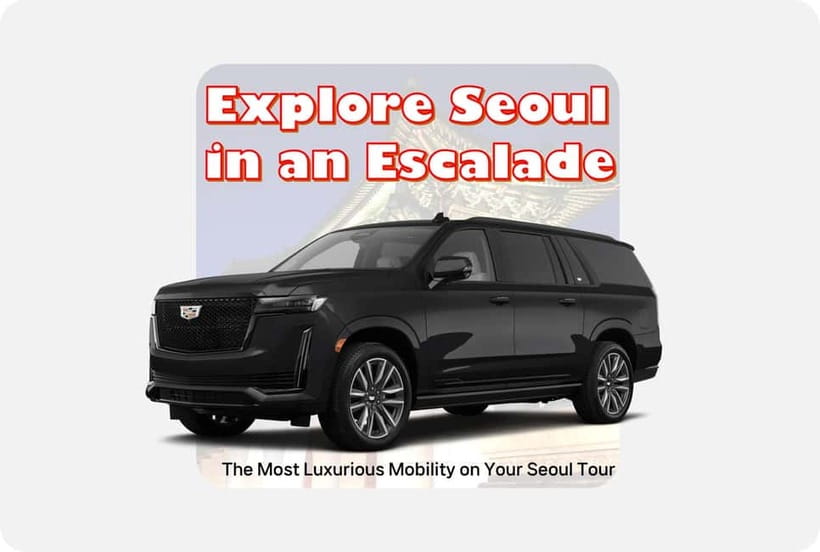 Seoul: Private Luxury Vehicle Tour - English/Spanish guiding - The point of this Seoul tour: fewer headaches, more actual sightseeing