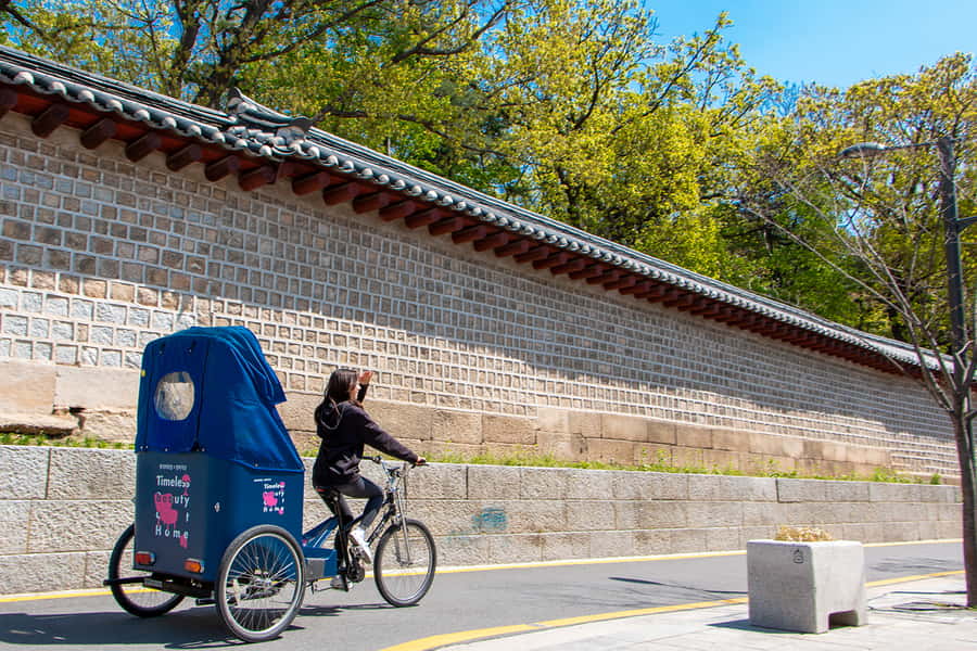 Seoul Private Pedicab Tour : Bukchon Anguk Hanok Village - Comfort and accessibility: the 10-minute walk and adjusted course
