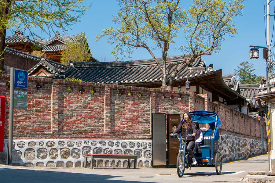 Seoul Private Pedicab Tour : Bukchon Anguk Hanok Village - Should you book this Bukchon pedicab tour?