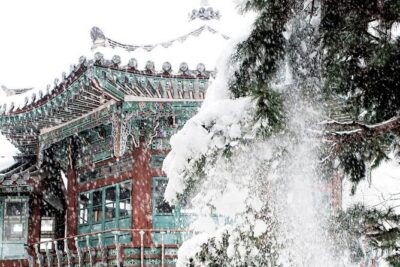 Seoul Private RV tour, explore real Korea from Past to Future - Stop 1: Gyeongbokgung Palace With Tickets and Time to Take It In