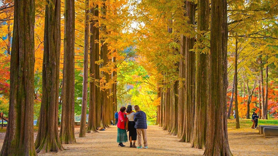 Seoul: Private Tour to Nami Island, Garden, Petite France - Should You Book This Nami Island, Garden, and Petite France Tour?