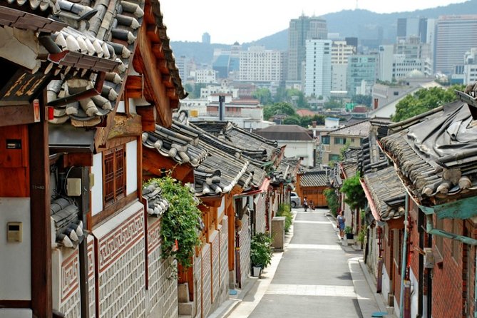 Seoul Private Tour with hidden gem of Seoul - Myeongdong shopping street: street food and quick browsing