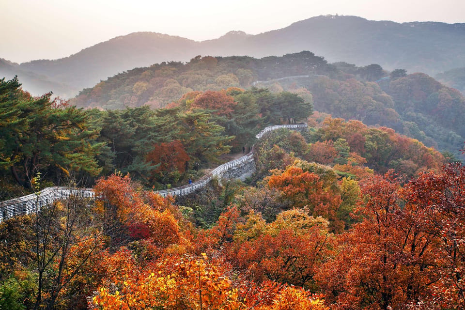 Seoul: Royal Tomb of King Sejong & Icheon Ceramic (EG Tour) - Who this tour suits best
