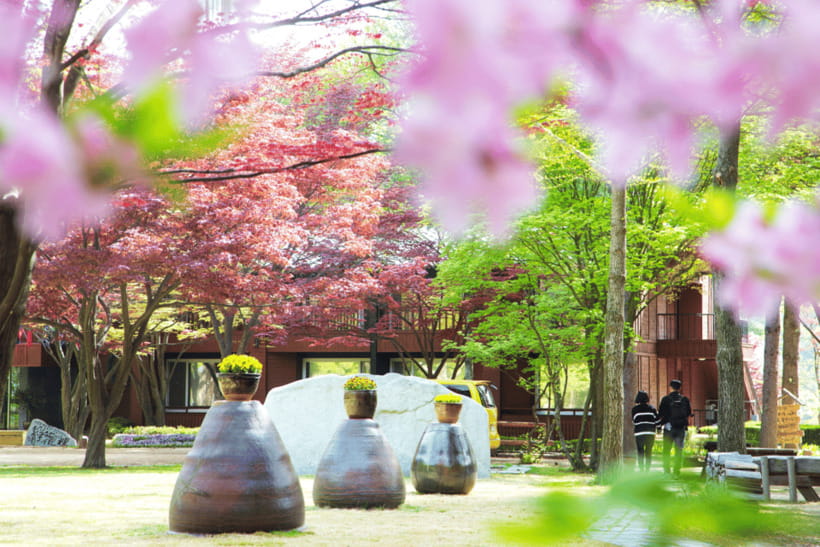 Seoul: Samaksan Cable Car & Nami with Alpaca World/Railbike - Why this Samaksan Cable Car + Nami day feels different