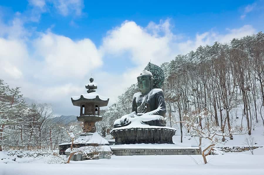 Seoul: Seorak Mountain+Nami Island+Eobi Ice Valley Tour - Key things that make this tour work in winter