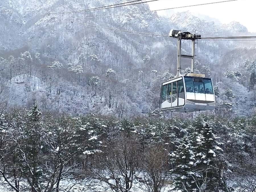Seoul: Seorak Mountain+Nami Island+Eobi Ice Valley Tour - Seoraksan: cable car views, Tongil Daebul, and Sinheungsa