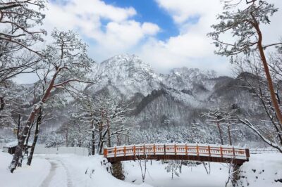 Seoul: Seorak Mountain+Nami Island+Eobi Ice Valley Tour - Nami Island winter walks: ferry breeze and photo-friendly calm