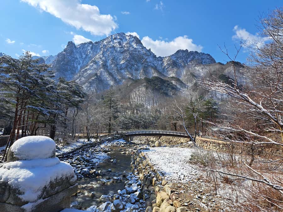 Seoul: Seorak Mountain+Nami Island+Eobi Ice Valley Tour - Transfers, timing, and why the day feels easy