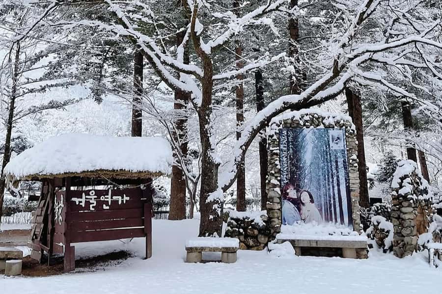 Seoul: Seorak Mountain+Nami Island+Eobi Ice Valley Tour - Winter preparation that actually matters (not fluff)