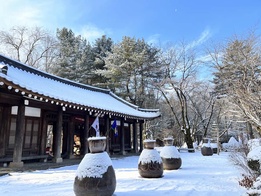 Seoul: Seorak Mountain+Nami Island+Eobi Ice Valley Tour - Who should book this Seoul winter day trip