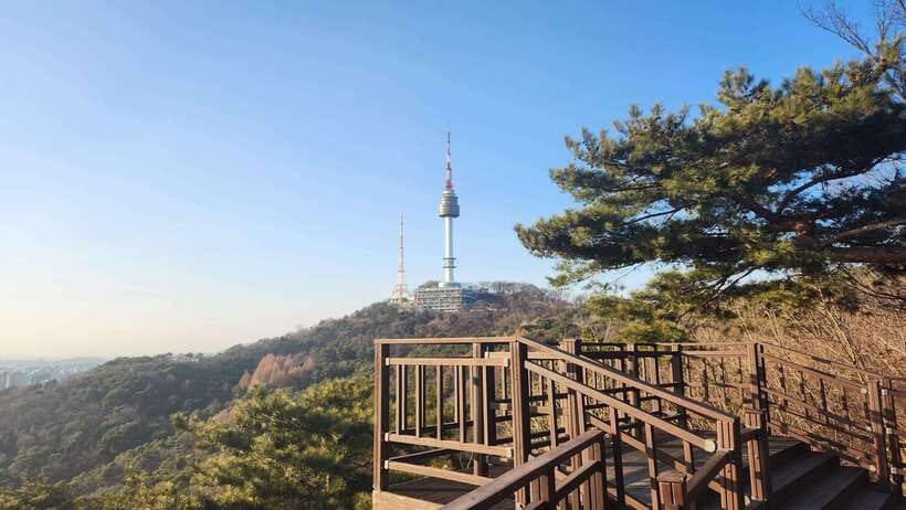 Seoul: Services of a Local for a Day (Paperwork/Tour/Fun) - A Private Seoul Day With Sooyoung Cha on Your Side