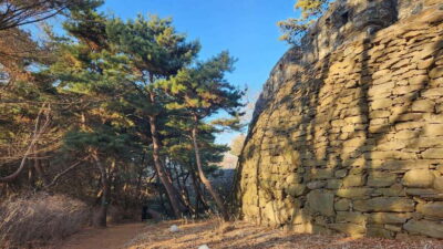 Seoul: Services of a Local for a Day (Paperwork/Tour/Fun) - From Pickup to Plan Time: How Your Seoul Hours Work