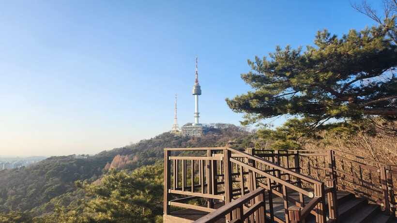 Seoul: Services of a Local for a Day (Paperwork/Tour/Fun) - Price and Value: Why $207 Can Make Sense