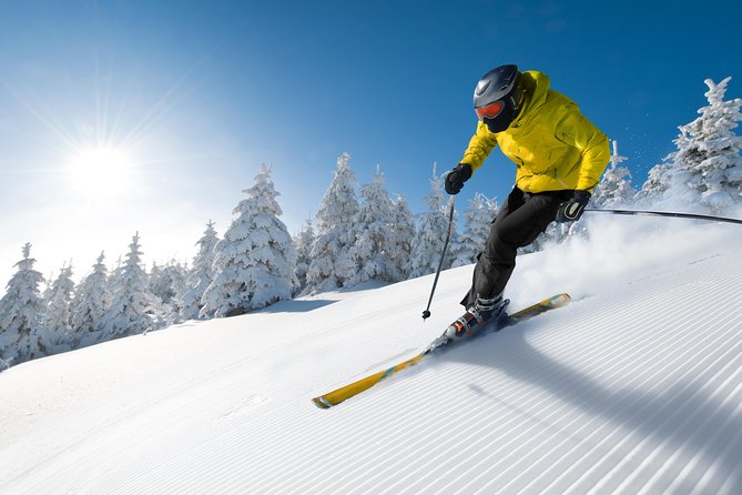 Seoul Ski Tour at Jisan Forest Resort - Lifts, Gondola, and How Much Time You Actually Get