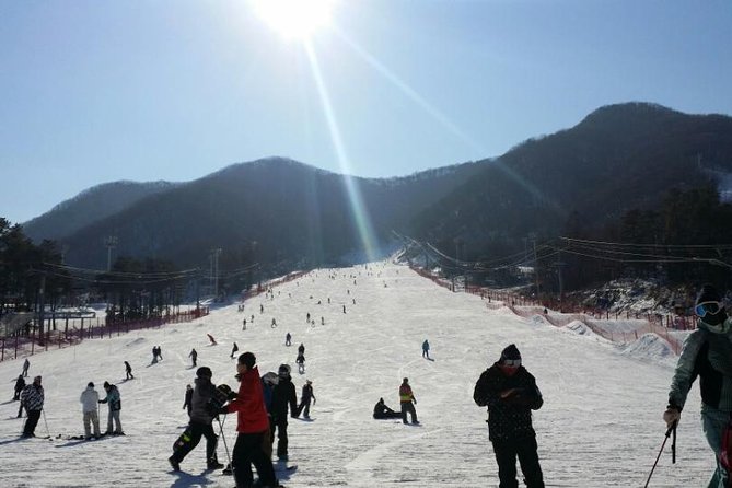 Seoul Ski Tour at Jisan Forest Resort - Ginseng Center Stop: A Quick Shopping Add-On