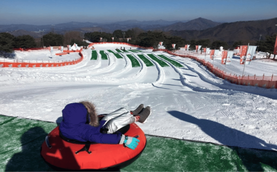 Seoul: SnowyLand in Vivaldi Park with Nami or Alpaca - Key highlights worth planning around