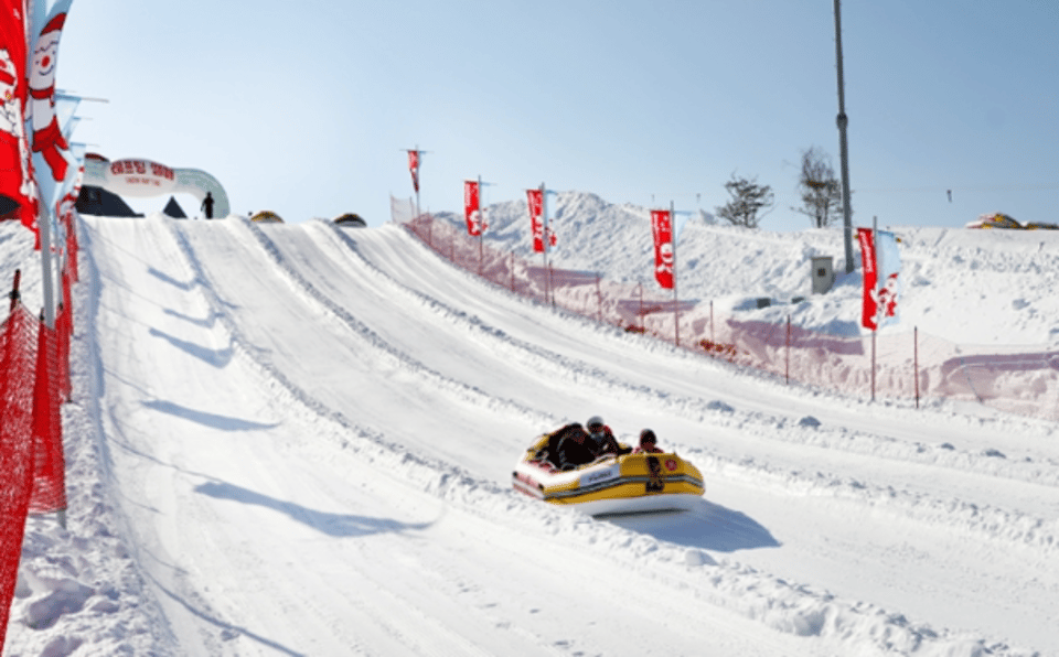 Seoul: SnowyLand in Vivaldi Park with Nami or Alpaca - Snowy Land at Vivaldi Park: the day’s main event